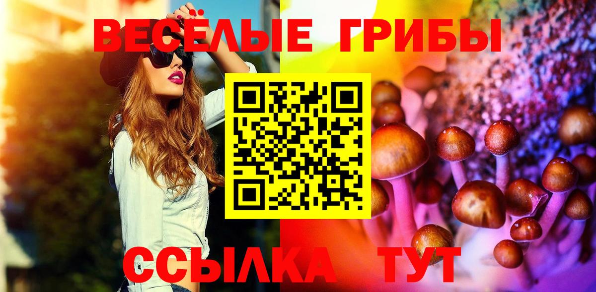 Чапаевск  Галлюциногенные грибы Magic Shrooms  сколько стоит  Вход с VPN 